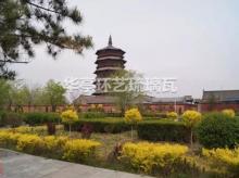 应县木塔后大殿